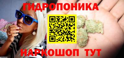 Альфа ПВП Тверь