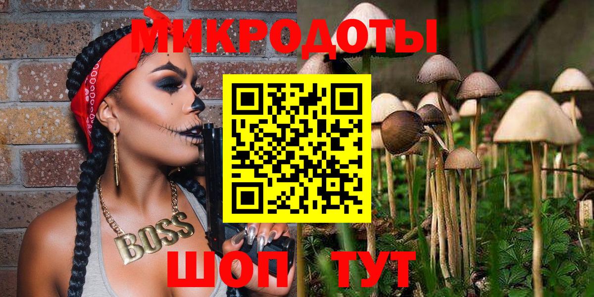 Курчатов  Галлюциногенные грибы прущие грибы  Вход с VPN 